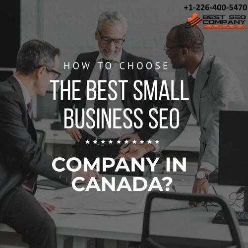 small business SEO Company in Canada
